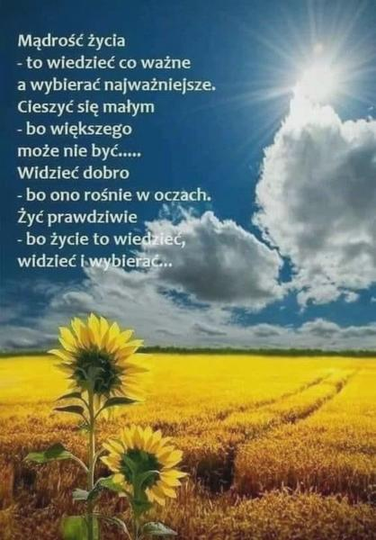 Mądre cytaty o człowieku